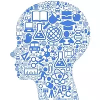 Quick Guide to Online Courses