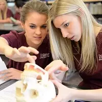 Unlock a Flexible Healthcare Career: Your Step-by-Step Guide to a Dental Hygienist Degree
