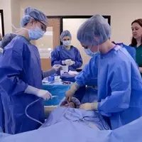 Scrub Tech Certification: An Overview