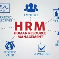 Human Resources Courses: Building Skills for Modern Workplaces