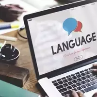 A Comprehensive Overview of Online Language Course