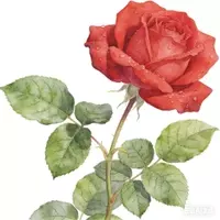 Technical Analysis of Botanical Illustration: Scientific Accuracy, Materials, and Methodologies