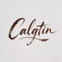 Modern Calligraphy: A Technical Analysis of Contemporary Scriptorium Practices