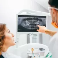 Dental Degree: Educational Structure, Core Curriculum, and Professional Context