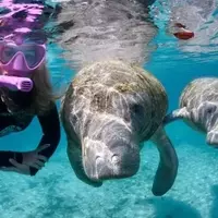 Discover Florida's Nature Coast: A Family Adventure Guide to Citrus County