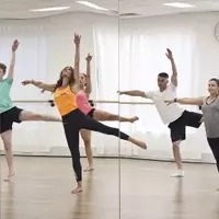 Dance Education: A Technical and Systematic Overview