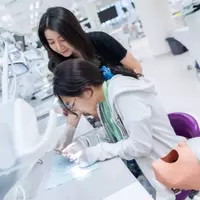 Dental Education: A Systematic and Academic Overview