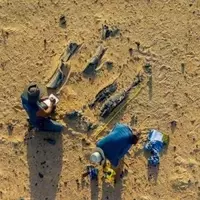 New Dinosaur Species Discovered with Unique Horn and Aquatic Lifestyle