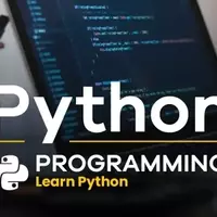 Python Development Training: Structure, Learning Mechanisms, and Industry Context