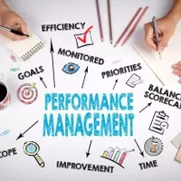 Performance Management Training: Understanding the Structure, Mechanisms, and Organizational Role