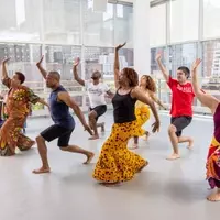Dance Training: Concepts, Learning Processes, and Broader Context