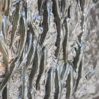 The Amazing Feat of Waterfall-Climbing Fish