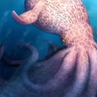 Giant Octopuses Roamed Cretaceous Seas