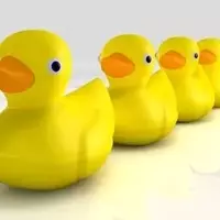 Early Manifestations of Peer Influence and Conformity in Children