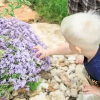 Outdoor Sorting Adventure for Kids