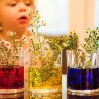 Engaging Children with a Flower Pigmentation Experiment