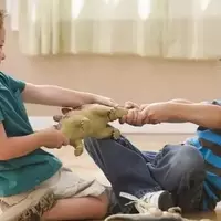 The Benefits of Vigorous Play for Child Development