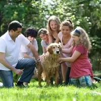 Understanding Family Dynamics: Igniters, Thinkers, Talkers, and Peacemakers