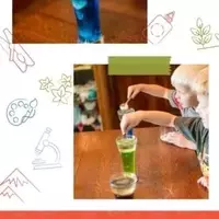 DIY Lava Lamps: A Simple Science Experiment Without Alka-Seltzer