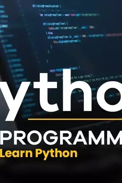 Python Development Training: Structure, Learning Mechanisms, and Industry Context